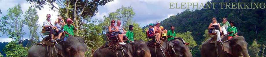 cheap thailand hotels at asiareservations.net