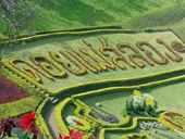 Doi Mae Salong & Mae Sai