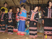 Doi Mae Salong & Mae Sai