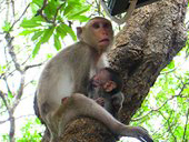Sam Roi Yod National Park