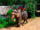 Elephant Trekking and River Camp by Nosey Parker's