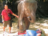 Elephant Trekking and River Camp by Nosey Parker's