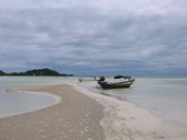 Around the Island + Snake Show