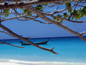 Racha and Coral Island Full day tour by Speed boat