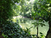 Khao_Sok_Discovery_Full_Day_tour