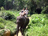 Trekking & Rafting Eco-Adventure