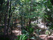 Trekking & Rafting Eco-Adventure