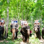 Krabi 4 in 1 Kayaking ATV & Elephant trekking