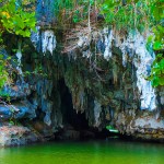 Krabi 4 in 1 Kayaking ATV & Elephant trekking