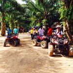 Krabi 4 in 1 Kayaking ATV & Elephant trekking