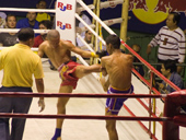 Thai Boxing show