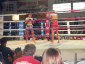 Thai Boxing show