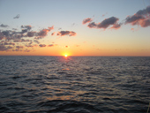 Ayodhaya Sunset Dinner Cruise by Junk
