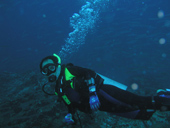 Similan Marine Park by Speedboat