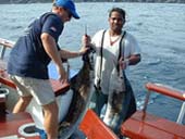 Big Game Fishing Tour