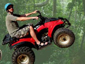 ATV Elephant trekking Monkey Show Snake_Show (5 Options)