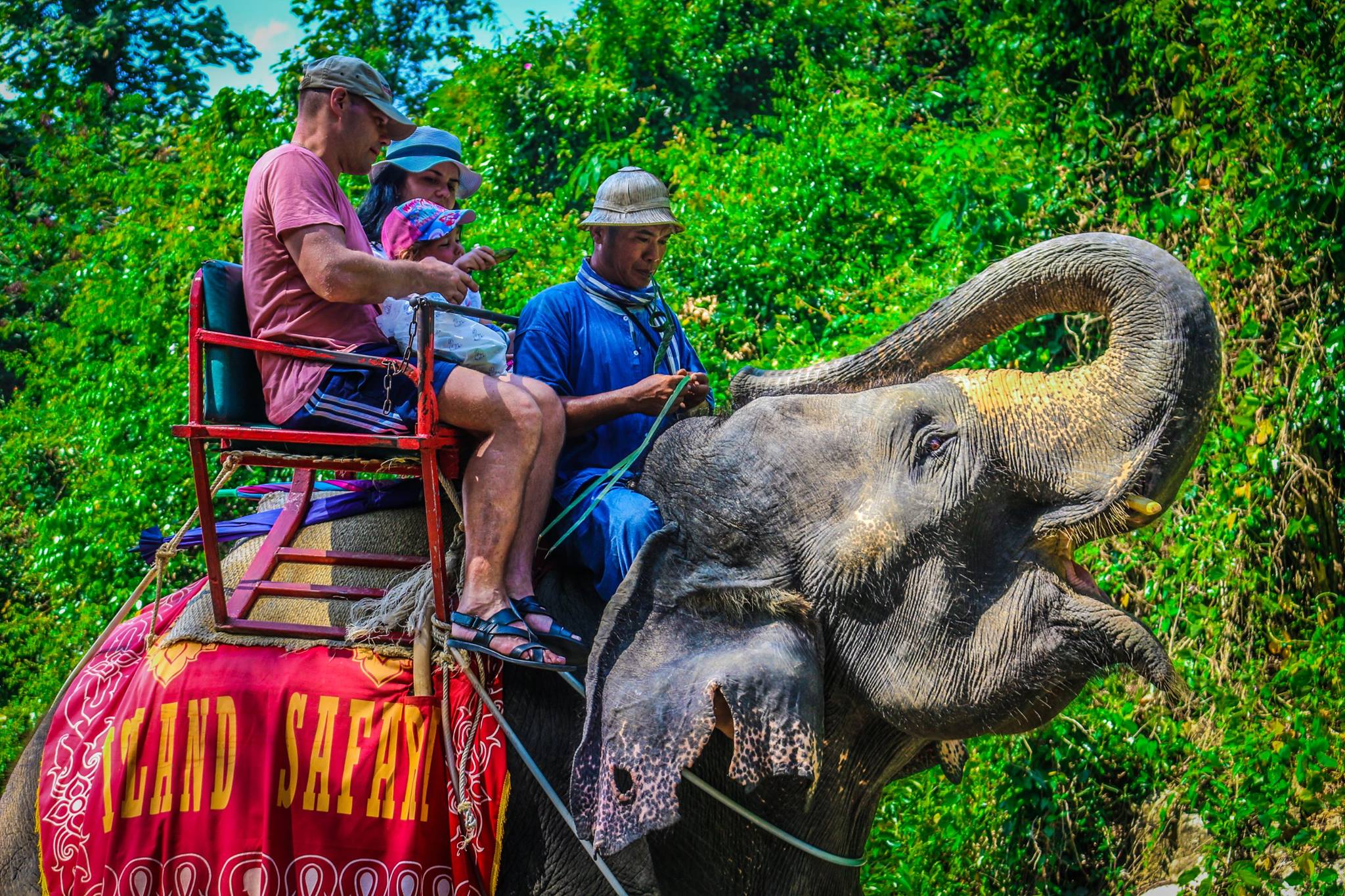 Rafting with Island Safari