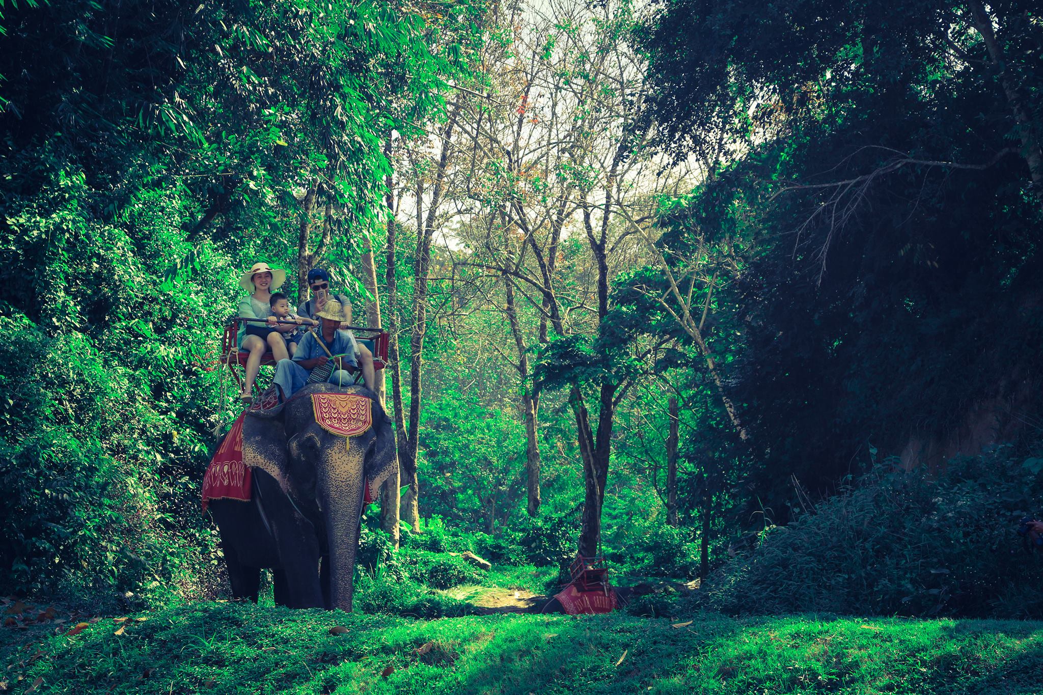 Rafting with Island Safari