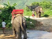 3 Days 2 Nights Jungle and Lake Safari