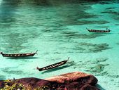 Similan Island Snorkeling One Day Tour by Speed boat