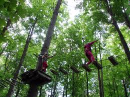 Tree Top Adventure Park Krabi