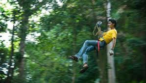 Tree Top Adventure Park Krabi