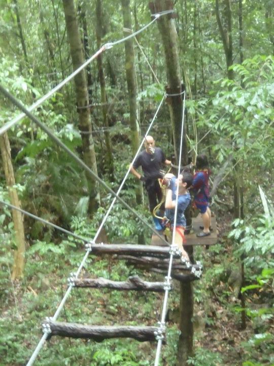 ATV tree top adventure tour