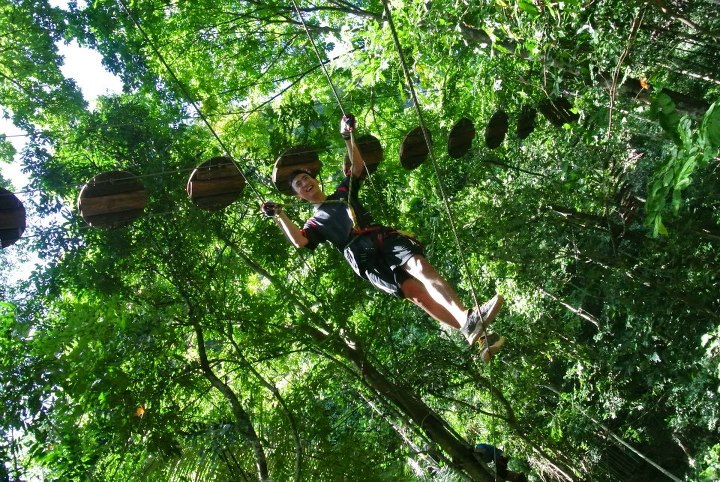 ATV tree top adventure tour