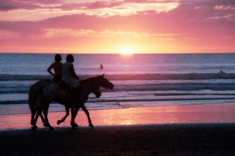 Horse Riding