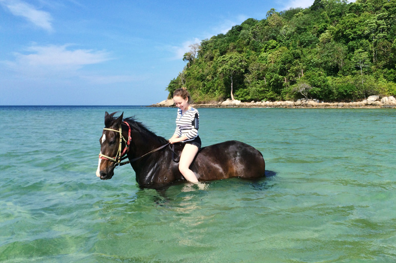 Horse Riding