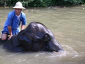 Elephant Ride, Boat Trip along Pai River & Long Neck