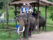 Elephant Ride, Boat Trip along Pai River & Long Neck